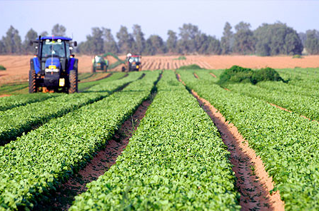 Desarrollo-agricola-Sagarpa